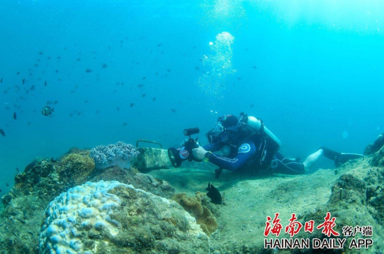 远征军：维京